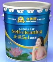 金装5合1净味全效弹性墙面漆