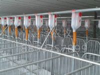 工厂现代化养猪设备的技术规程与注意事项