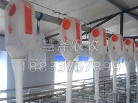 我国规模化养猪及现代猪场料线生产工艺发展阶段